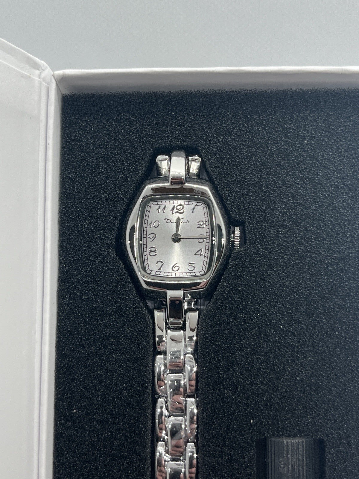 Diaofendi Petite Oval Silver Women’s Silver Watch, Waterproof Elegant NEW
