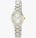 Anne Klein Quartz Ladie's Watch 28mm Silver Dial Two Tone Bracelet 10/5491SVTT